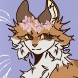 ᯓ ᛝ ִМᴀᴄᴛᴇᴩᴄᴋᴀя Сᴀнди .ᐟ ֹ :3
