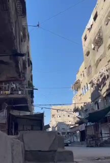 ספיר ליפקין