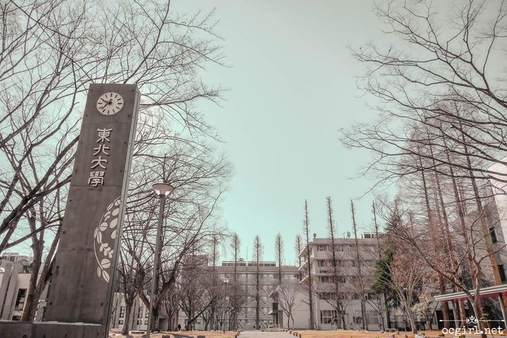 日本交換學生經驗談+重返東北大學