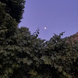 •هَمطاف•