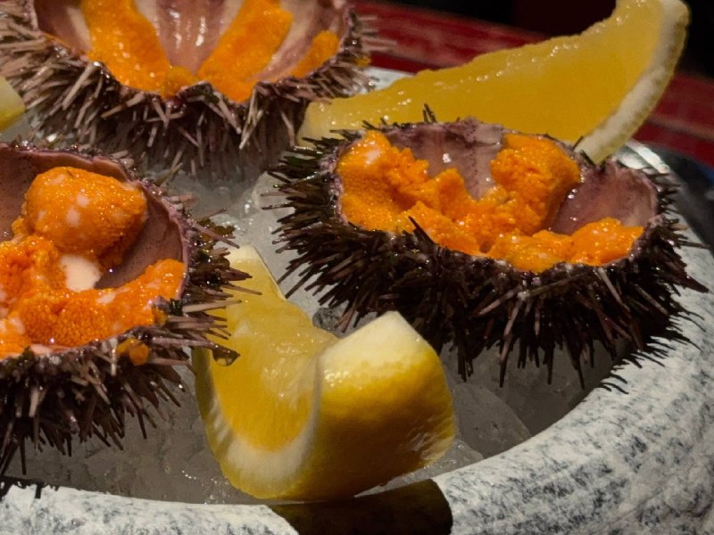 Предположила, на что может быть аллергия 🤔Ну если на Терру и КitKat, то это целая драмаПредположила, на что может быть аллергия 🤔Ну если на Терру и КitKat, то это целая драма