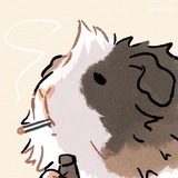 [набор адм] ᥲⲙᥴ𐔥 | ⳋᥙιᥒᥱᥲ ριⳋ ᥴ𐔖ᥒ𐔥ᥱ᥉᥉ι𐔖ᥒ