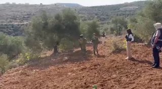 Armed settlers accompanied by the occupation army try to prevent people from helicoptering olives in the town of Beta south of Nablus.