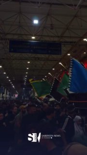 בשידור חי בצילום סברין ניוז