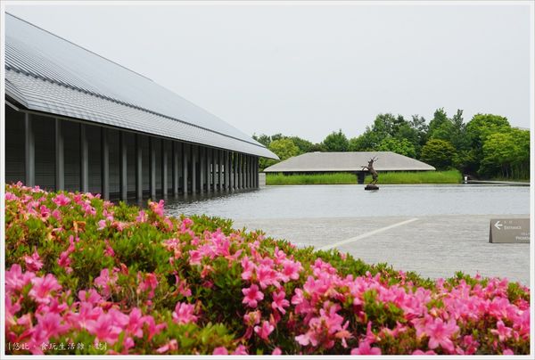 [日本滋賀 琵琶湖|簡樸素雅 水上漂浮美術館。佐川美術館]