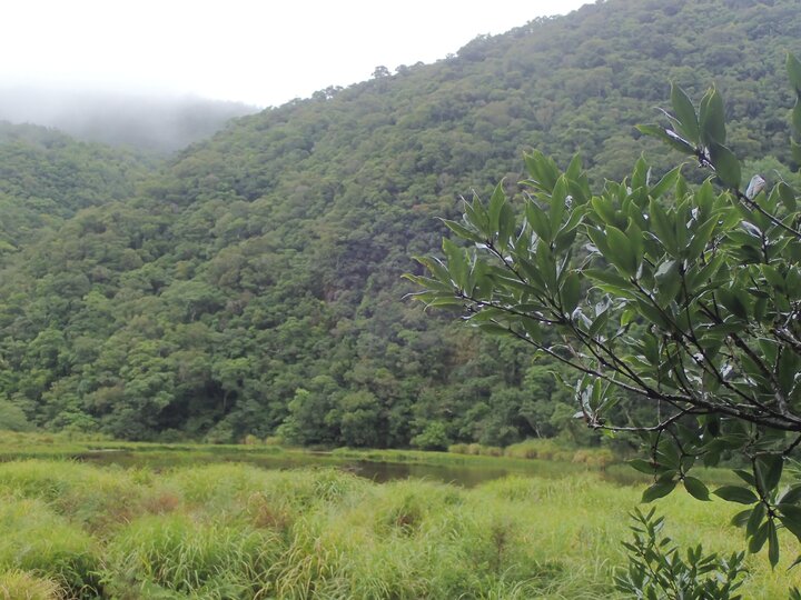 神祕湖神秘？！…