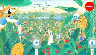 科技_如何建设一个生态完美的未来农场？大约 1 万年前的农业革命是历史的转折点，耕种使文明得以存在。如今，我们地球上近 40% 的土地是农田。这些土地遍布世界各地，带来一个新的难题：面对不断增长的人口中，我们怎么保证所有人都能吃上健康的食物？这则视频探索了各国农业的创新方式。From TED-Edvia 开眼Invalid media: video