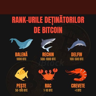 Crypto Hustle Romania Telegram Group Link