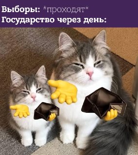 Дамы и господа, в правительстве придумали новый сбор с россиян: https://lentach.media/nVmKH