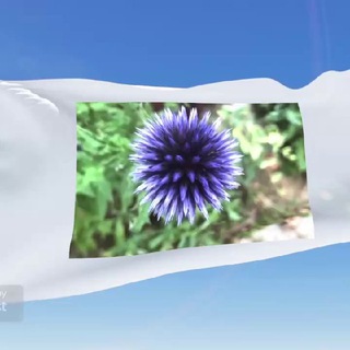 Alles Ausser Mainstream Telegram Group Link