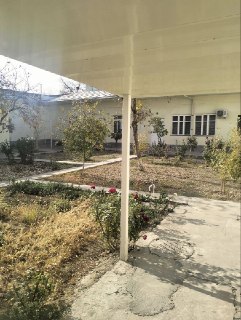 КУКЧА. 1. Праез. Мачит
