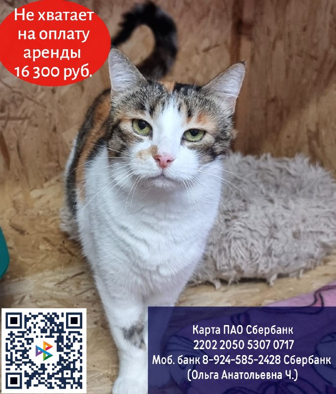 Друзья, выдалась очень тяжёлая неделя!
2 наших...