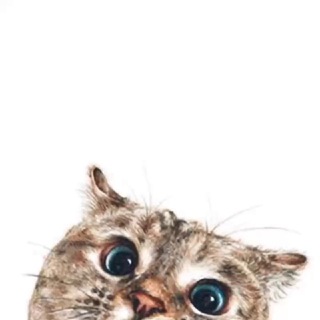Work in Telegram channel profile photo