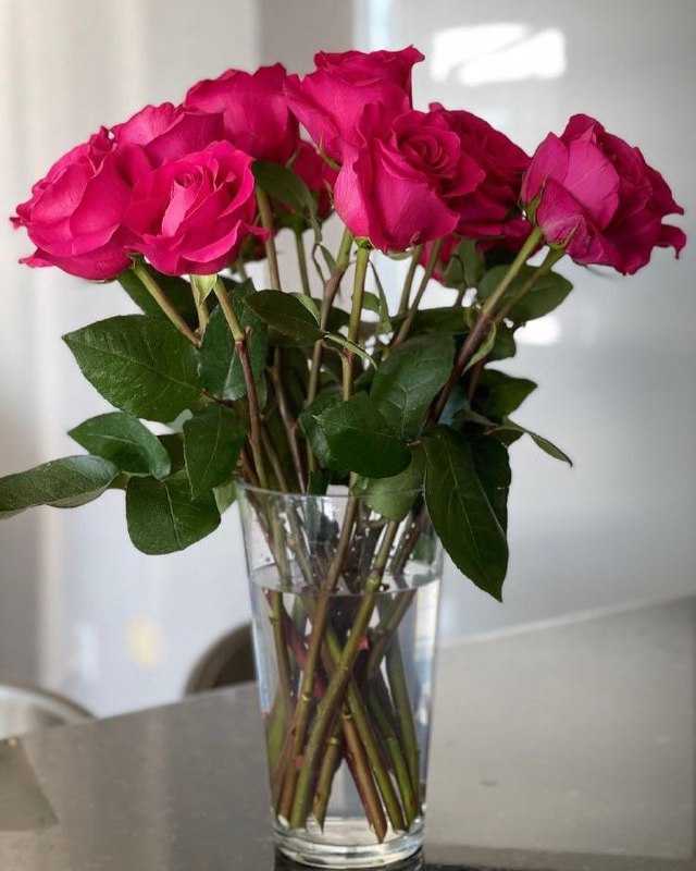 کانال عاشقانه های مینوووو❤️❤️(عشق ودوستی): مـرسـے ڪـه هسـتـیـن🌹