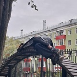 Жизнь горе 3д-шника