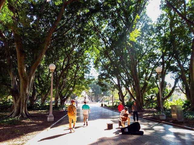 最長的公路旅行 | 澳洲東岸 1. 第一次沙發衝浪(COUCHSURFING)、長途夜車巴士旅行