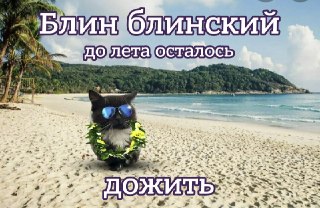 Лето В С ЁПора почистить галерею от лишних фоток и вспомнить, как прошло лето. Делитесь в комментариях лучшими моментами, посмотрим, у кого как прошло🌚
