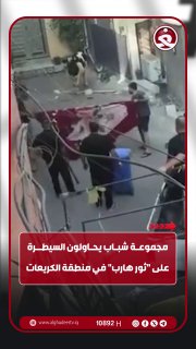 קבוצת צעירים מנסים לשלוט ב"שור נמלט" באזור קוריאת בבגדד ביו.קישור/alghadeertv
