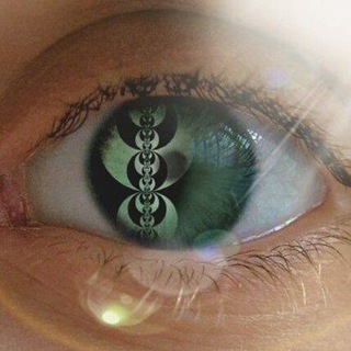 🐢The turtle Traders Beginners Class 📊📉 Telegram Group Link