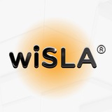 Всё под контролем | IT-мониторинг с wiSLA