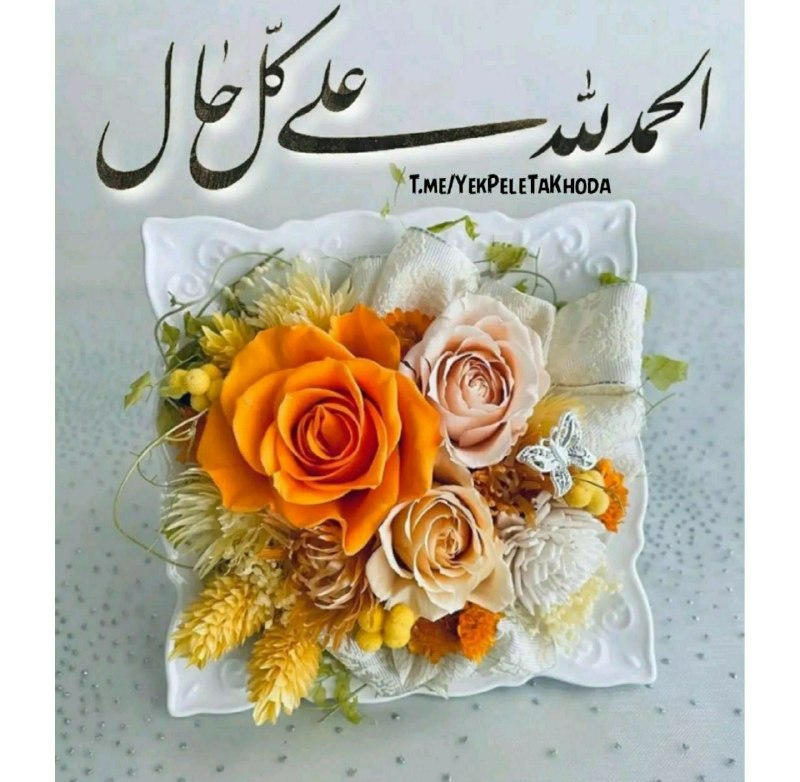 ۞یک پله تا ملاقات خدا۞: 🌹 @YekPeleTaKhoda🌸ســـــــــــلام💖 صبحتون بخیر 🌸امیدوارم 💖آخرین چهارشنبه مرداد ماه شما🌸پر از زیبایی و امیـد💖و دلتون سرشا