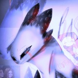 ˙♰𝖁𝖆𝖘𝖙♰˙
