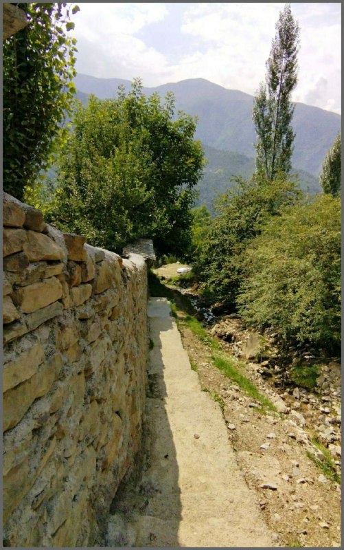 بابل روز: برسان باده که غم روی نمود ای ساقیاین شبیخون بلا باز چه بود ای ساقی؟ #هوشنگ_ابتهاج#لهه، #بندپیشرقی بابلعکس: #میثم_انتظار