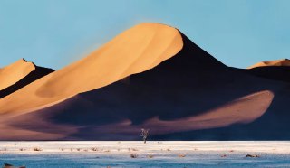 创意_我不敢相信我的眼睛——绝美风景大赏一道闪光可以驱散黑暗，一滴雨可以卷起更大的风暴，一点点的细节就能区分美丽和华丽。如果你知道如何通过意义、故事和体验的可视化来增强自己内心的想法和想法，那么一切都可以成为杰作。创意短片「SOOREAL」试图使用 4D 触摸来「探索超越极限」，为眼睛描绘那些不能简单地通过照片或文字看到的东西，那些需要比时间更多的时间来构思和实现的东西。 From Pulla Studiovia 开眼Invalid media: video