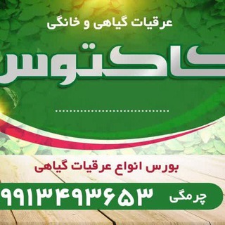 🌵عرقیجات خانگی کاکتوس🌵