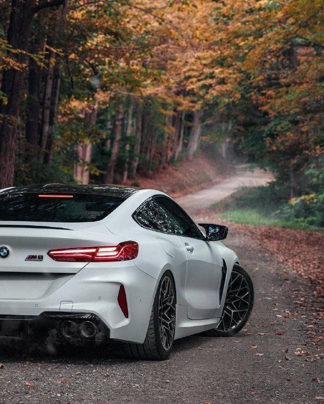BMW m8 5