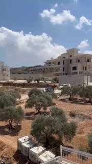 דחוף: מיליציות מתנחלים תוקפות את אזור "ראס זייד" בעיירה חווארה מדרום לשכם