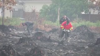 תחמושת ממלחמת העולם השנייה נמצאה בצרפת לאחר שריפת יער