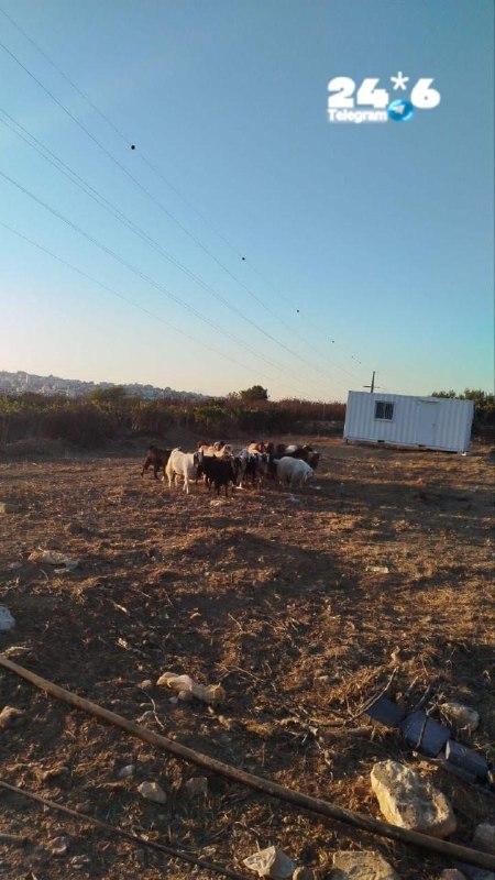 🇮🇱 תוכן מקודם. שבוע טוב ומבורך. אנחנו זוג צעיר. וב״ה אנחנו זוכים להצטרף למהלך של הגאולה בארץ ישראל. ואנחנ…