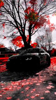 https://t.me/bmw_mpower_club