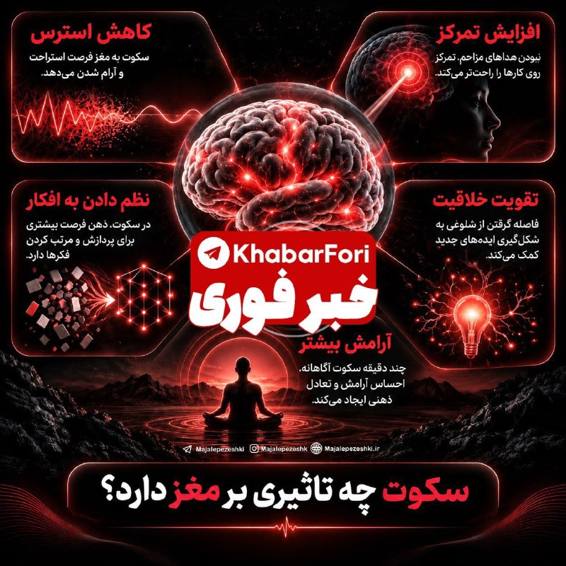 ⭕ ورزش طولانیمدت چه تاثیری بر مغز میگذارد؟ — خبر فوری