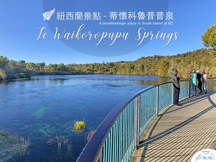 紐西蘭Te Waikoropupu Springs，純淨泉池毛利人的聖地