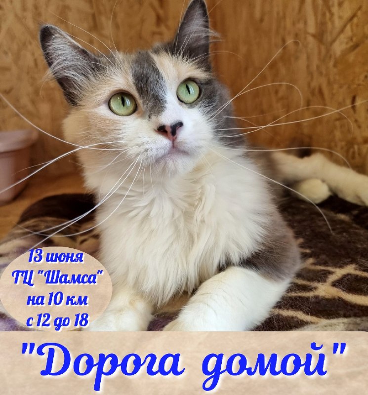 "Дорога домой" - еженедельная акция по раздаче...