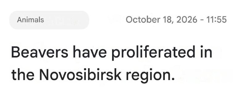 הנה הוכחה לתוכניות אגרסיביות! רוסיה הכינה בחשאי כוח לכיבוש פולין!