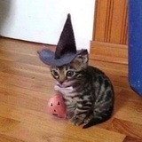 GLISTA🎃