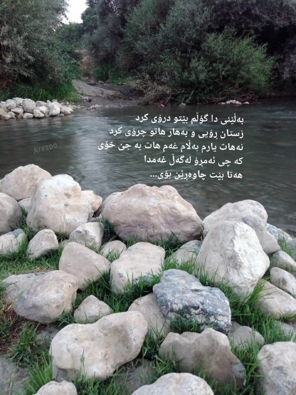 شاره که م مریوان: بەڵێنی دا گوڵم بێتۆ درۆی کردزستان ڕۆیی و بەهار هاتو چرۆی کردنەهات یارم بەڵام غەم هات بە جێ خۆیکە چی ئەمڕۆ لە گەڵ غەمداهە