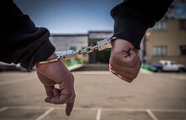 وارنانیوز دشت ورامین: سارق منزل در تور اطلاعاتی پلیس قرچک🔻فرمانده انتظامی قرچک از دستگیری سارق منزل خبر داد که به ۱۲ فقره سرقت در این شهرستان 