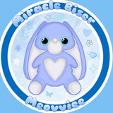 💙Miracle Biser💙
