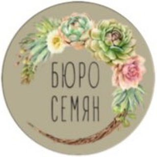 Бюро семян - ЧАТ