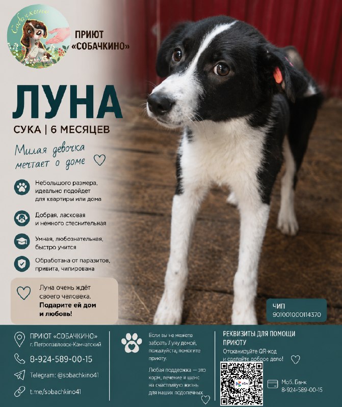 @help_animal41 posted a photo
