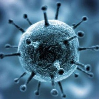 Coronavirus Noticias Telegram Group Link