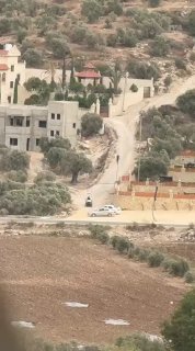 מתנחלים גונבים זיתים ותוקפים עצים משטח של 20 דונם בפאתי העיירה ג'בה, דרומית לג'נין.