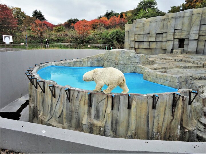 札幌円山公園散策