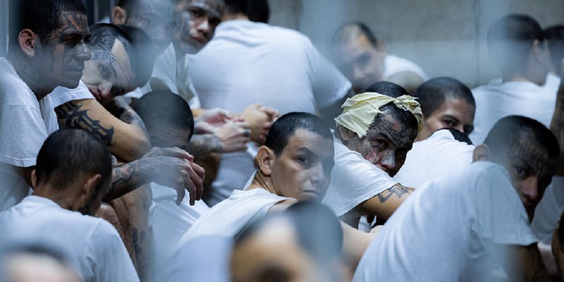 Emerging Venezuelan gang 'more violent' than Tren de Aragua targets rural America, expert warns