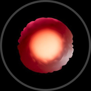 rhizome Telegram Tools & Utilities bot