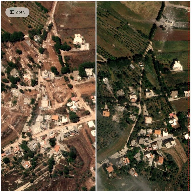 🚨🚨🚨גם מ-Zawtar Gharbia: צילומי אוויר מראים פשע סביבתי נגד עצים בזמן שהכיבוש דחף את השטחים הירוקים שלהם